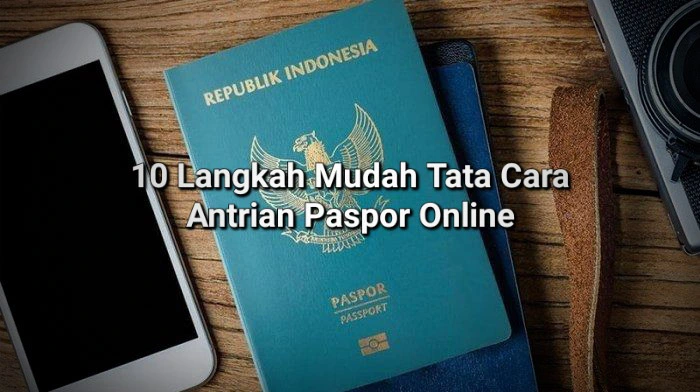 paspor online